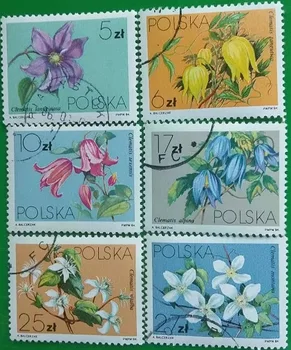 6 БР., Пощенска марка на Полша, 1984, Печат с цветове, Подпечатан с растенията, Събиране на марки, Използвани с пощенска марка